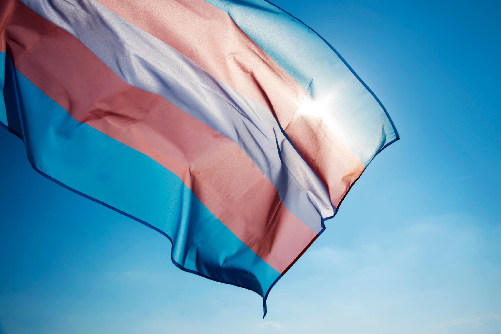 Leia mais sobre o artigo STF determina que Ministério da Saúde adote medidas para respeitar identidade de gênero de pessoas trans